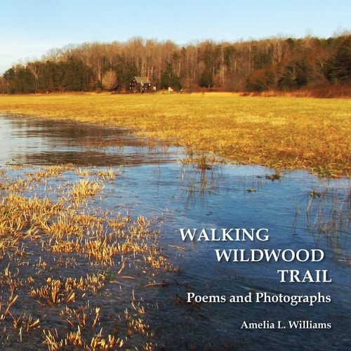 Walking Wildwood Trail Poems and Photographs