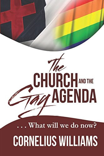 The Church and the Gay Agenda What Will We Do Now