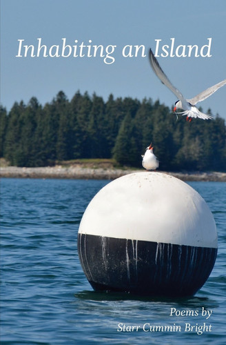 Inhabiting an Island