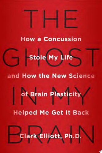 The Ghost in My Brain