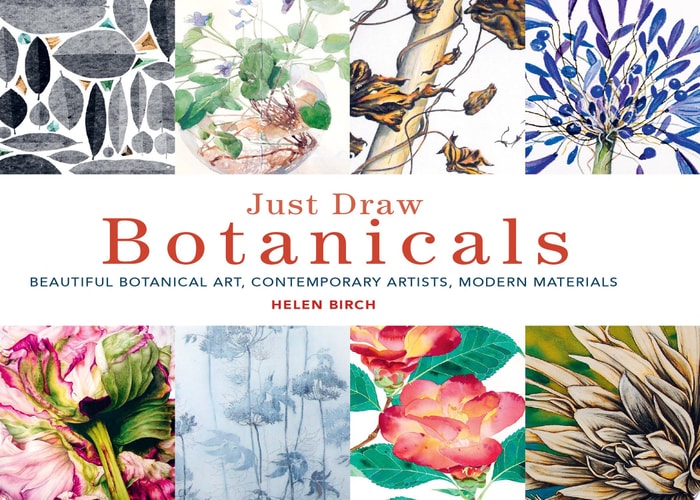 Just Draw Botanicals Beautiful Botanical Art, Contemporary Artists, Modern Materials