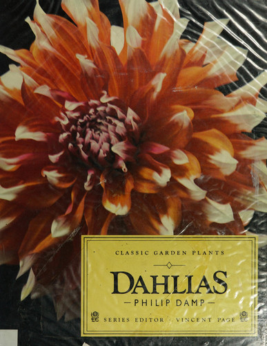 Dahlias