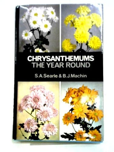 Chrysanthemums the year round