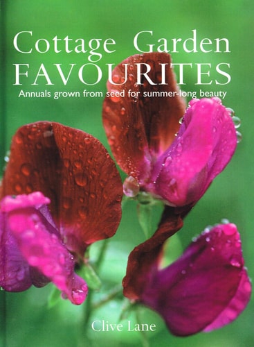 Cottage Garden Annuals Grown from Seed for Summer-long Colour