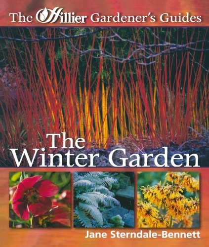 The Winter Garden