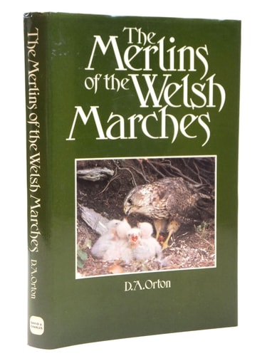 The Merlins of the Welsh Marches