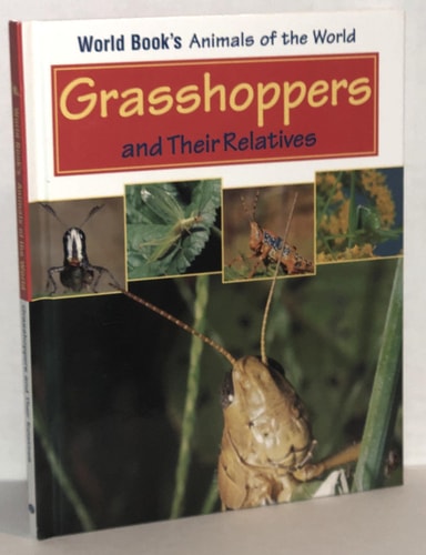 Grasshoppers and Their Relatives