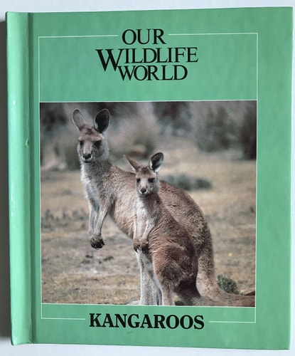 Kangaroos