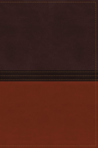 The MacArthur Study Bible