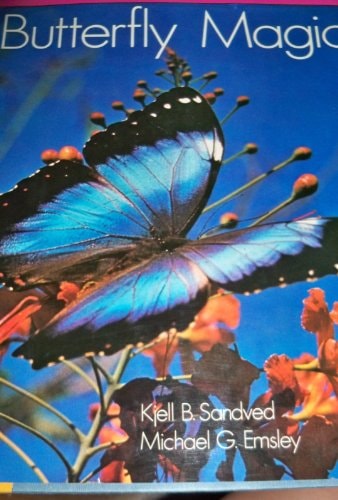 Butterfly Magic