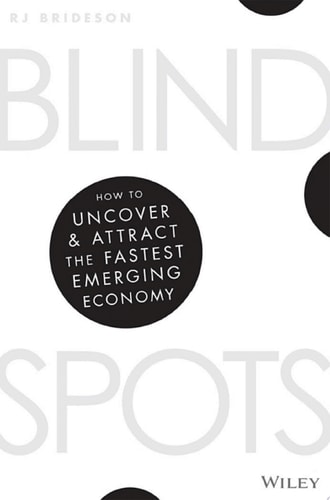 Blind Spots: How to uncover and attract the fastest emerging economy