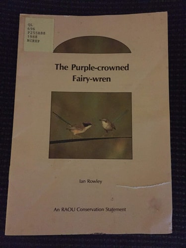 The Purple-crowned Fairy-wren