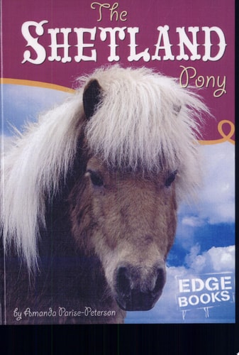 The Shetland Pony