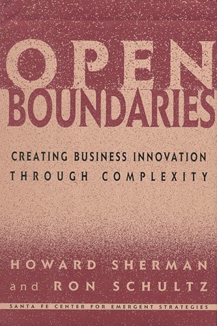 Open Boundaries: Creating Business Innovation Through Complexity