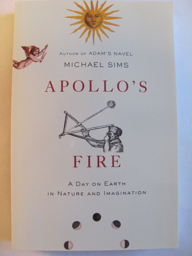 Apollo's Fire, a Day on Earth in Nature and Imagination