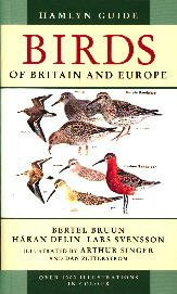 Gp Ham Gde Birds Brit Eur Pb