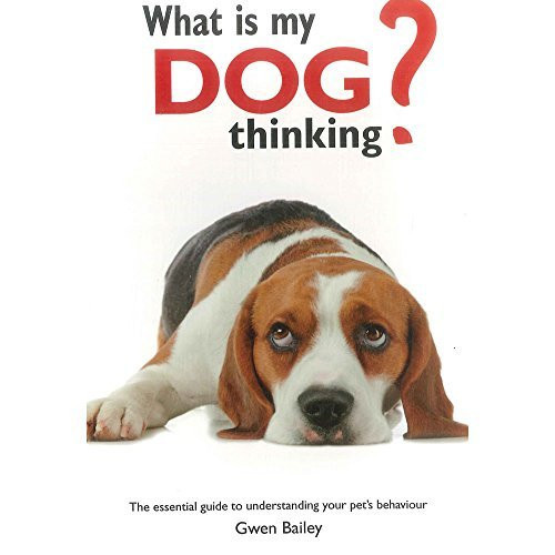What Is My Dog Thinking?