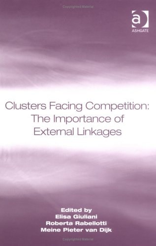 Clusters Facing Competition The Importance of External Linkages