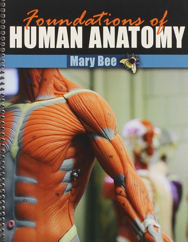 Foundations of Human Anatomy