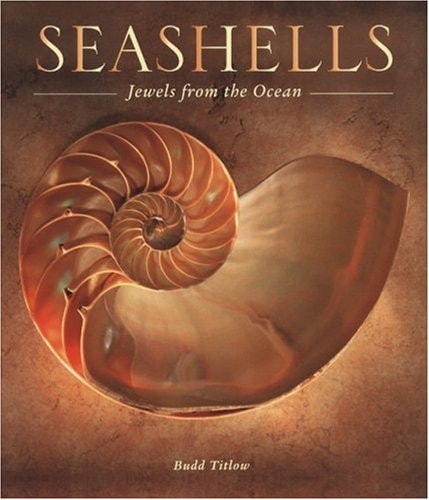 Seashells Jewels from the Ocean