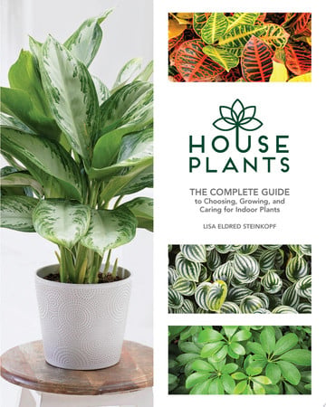 Houseplants: the complete guide to choosing, growing, and caring for indoor plants