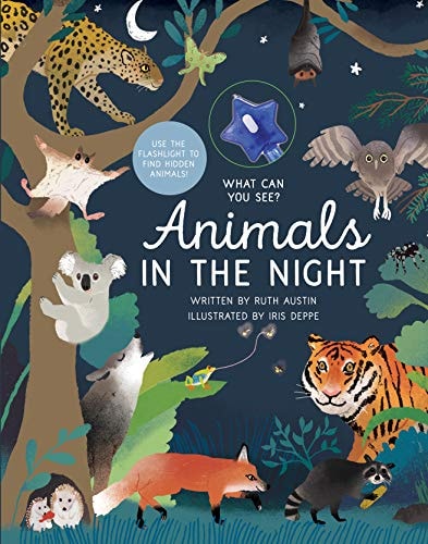 What Can You See? Animals in the Night: Use the Star Light to Find Hidden Animals!
