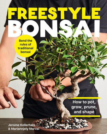 Freestyle bonsai: how to pot, grow, prune, and shape