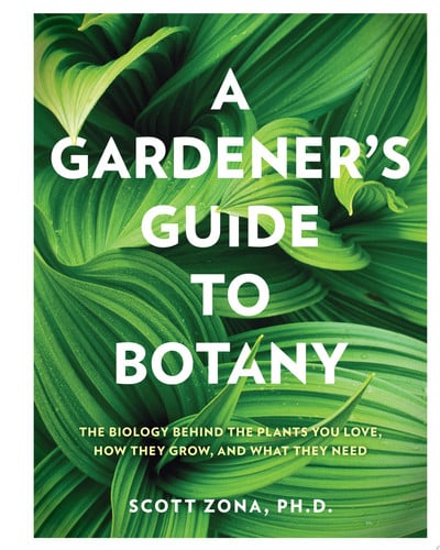 A gardener's guide to botany: the biology behind the plants you love, how they grow, and what they need