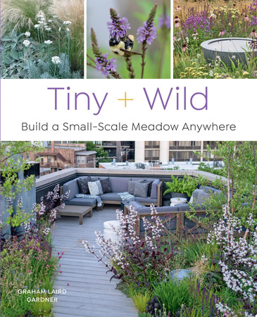 Tiny + wild: build a small-scale meadow anywhere