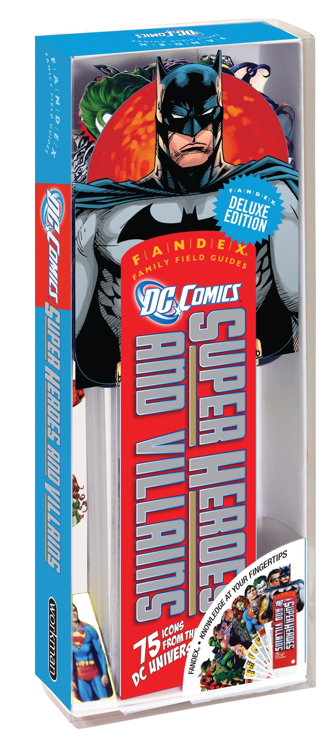 DC Comics Super Heroes and Villains: 75 Icons from the DC Universe!