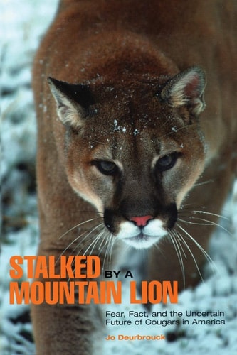 Stalked by a Mountain Lion Fear, Fact, And The Uncertain Future Of Cougars In America