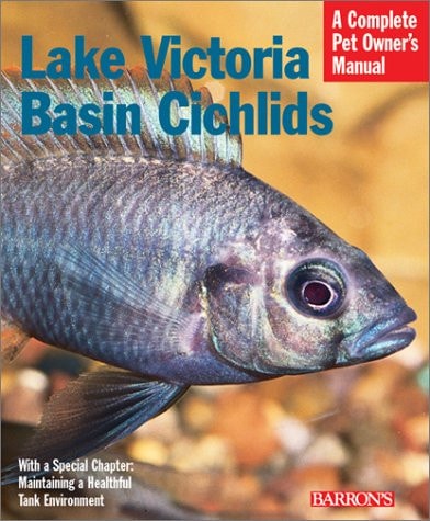 Lake Victoria Basin Cichlids Everything about History, Setting Up an Aquarium, Health Concerns, and Spawning
