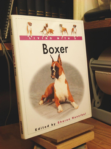 Living with a Boxer