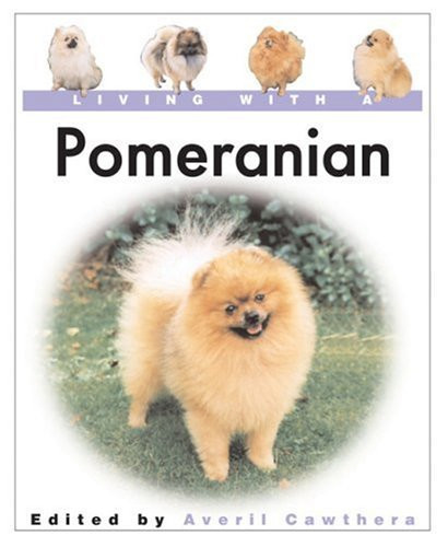 Living with a Pomeranian