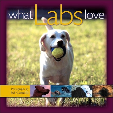 What Labs Love