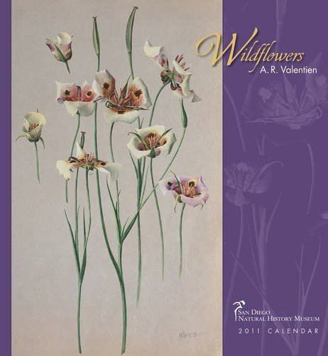 Wildflowers: A. R. Valentien 2011 Wall Calendar