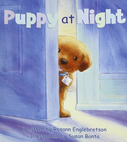Ready Readers, Stage Abc, Book 15, Puppy at Night, Single Copy