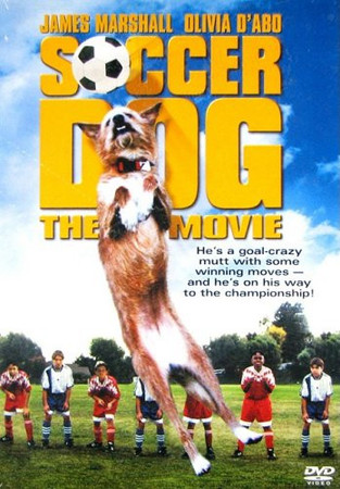 Soccer Dog