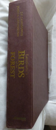 Birds of the Forest