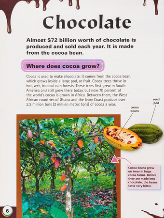 My chocolate bar and other foods