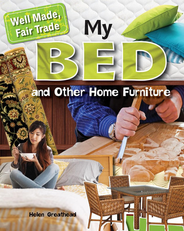 My bed and other home furniture
