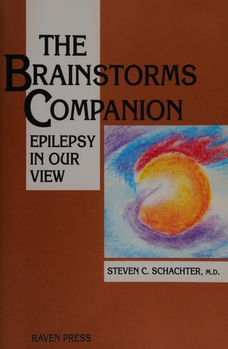 The Brainstorms Companion: Epilepsy in Our View