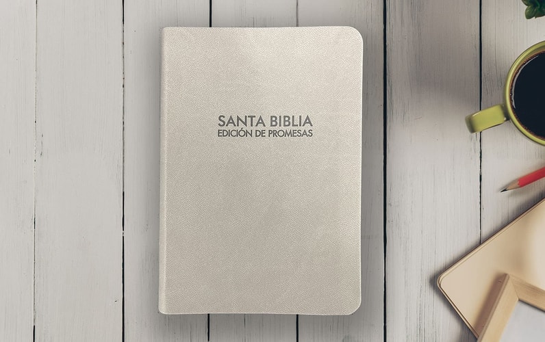 Santa Biblia de Promesas Reina Valera 1960 / Compacta / Letra Grande / Piel Especial / Gris // Spanish Promise Bible Rvr-1960 / Compact / Large Print / Leathersoft / Gray