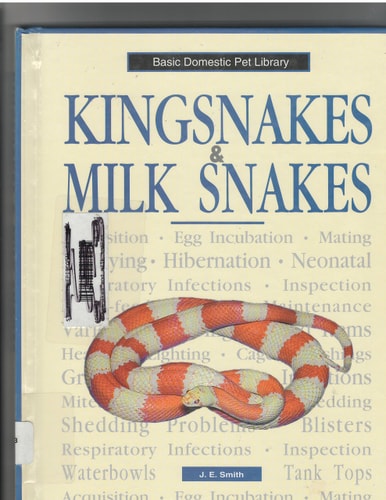 Kingsnakes & Milk Snakes A Complete and Up-to-date Guide