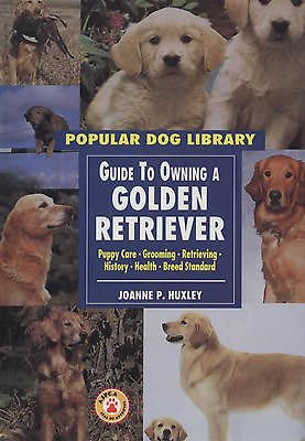 Guide to owning a golden retriever