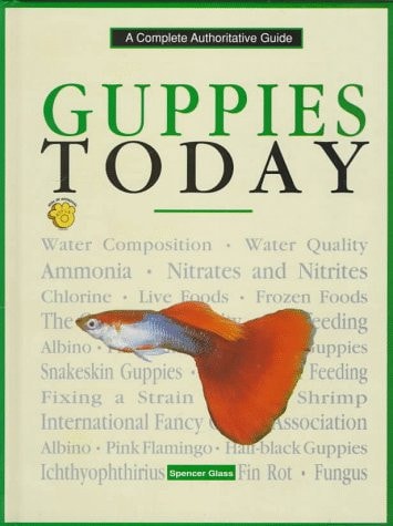 Guppies Today