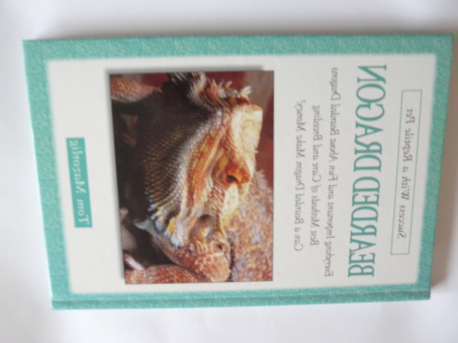 Bearded Dragon