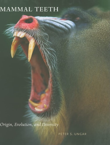 Mammal Teeth Origin, Evolution, and Diversity