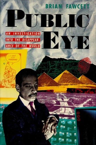 Public Eye An Investigation Into the Disappearance of the World