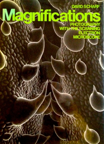 Magnifications: Photography With the Scanning Electron Microscope